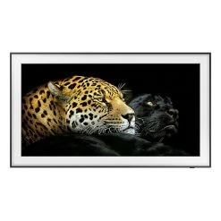 Samsung TV QLED 43" The Frame - QE43LS03A + Tireuse à Biere Fût Universel - ...