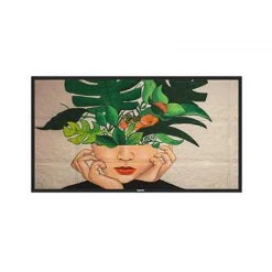 Télévision LED Philips 55BDL4550D/00 55"