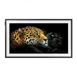 Samsung TV QLED 32" The Frame - QE32LS03TC + Appareil De Massage Par Percussio... -emarqt shop the frame qe32ls03t 1 1140x1140