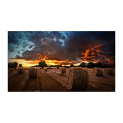 TV Intélligente Pro SAMSUNG VM55B-U LH55VMBUBGBXEN