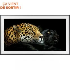 Samsung TV QLED 4K 108 Cm QE43LS03A